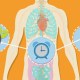 How Long Does Weed Stay In Your System?
